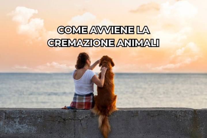 come avviene la cremazione degli animali